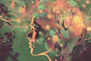 The Human Side of Artificial Intelligence