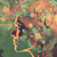 The Human Side of Artificial Intelligence